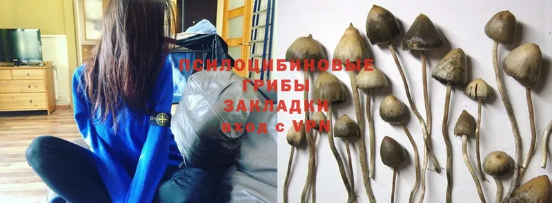 купить наркоту  Октябрьский  Псилоцибиновые грибы MAGIC MUSHROOMS 